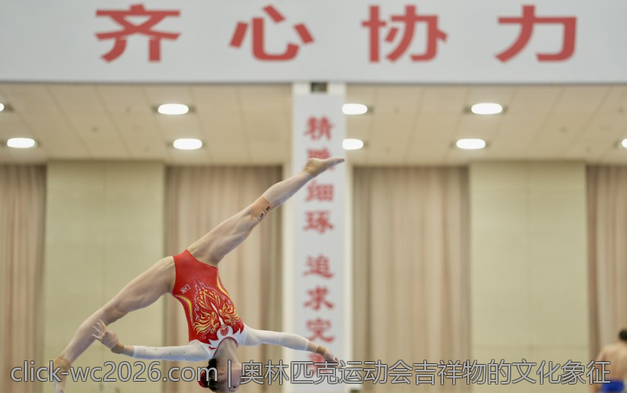 奥林匹克运动会吉祥物的文化象征